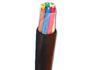 õ